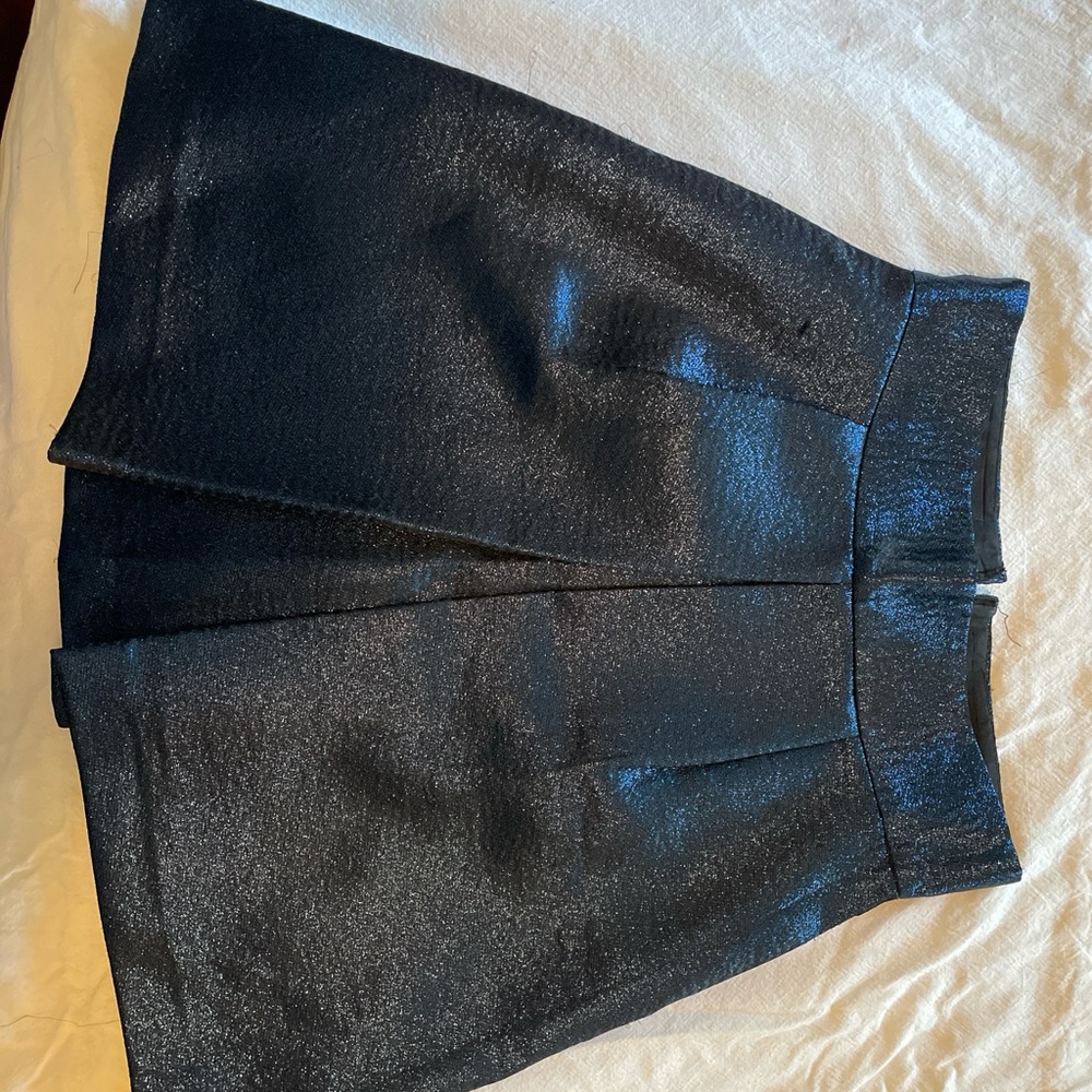 Elegant Black Skirt